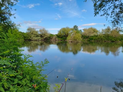 A wide-angle, eye-level shot captures a serene lake scene under a bright blue sky with scattered white clouds. The foreground on the left is dominated by lush green foliage and vegetation, with two fishing rods extending into the water on the right. The lake itself is calm, reflecting the surrounding trees and the sky. Across the water, a dense line of trees with light green and yellowish-green leaves forms the backdrop, their reflections shimmering on the lake's surface. The environment suggests a natural setting, possibly a park or a rural area, and the presence of fishing rods indicates recreational activity. There are no people visible in the image. The scene is located in Krushare, Bulgaria.