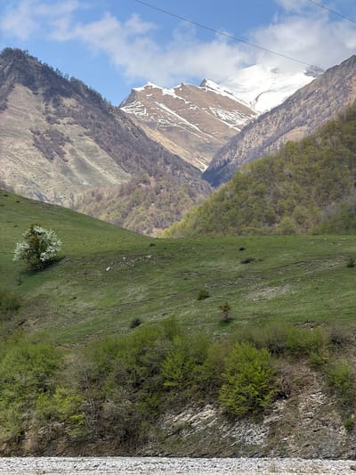 The image depicts a mountainous landscape near Kvesheti, Georgia. A snow-capped mountain peak dominates the left side of the frame. The foreground features a steep, grassy slope with scattered vegetation and a single flowering tree. A rocky cliff face with foliage is visible on the right. The sky is blue with scattered clouds, and power lines are strung across the upper left.