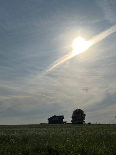 The image depicts a rural landscape under a bright, partly cloudy sky. In the foreground, a field of tall grass and small white wildflowers stretches across the frame. In the middle ground, a silhouetted house with multiple windows stands on a gentle rise, accompanied by a solitary tree. A fence line is visible in the background. The sun is high in the sky, partially obscured by clouds, casting a bright glow and creating a lens flare effect. A thin, wispy contrail cuts diagonally across the sky. The scene is one of peaceful solitude in a natural setting.