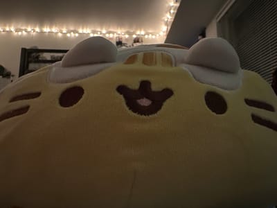 A close-up, low-angle, eye-level shot shows the face of a yellow plush toy, likely a cat, in a dimly lit room. The toy has two prominent brown oval eyes, and a dark brown mouth with a pink inner detail, resembling a cat's muzzle. Two white, rounded ears with a light brown center are visible at the top of the toy's head. The toy's body, which appears to be a pillow, fills the foreground and is textured. In the background, a string of white fairy lights is draped across the ceiling. Behind the toy, a portion of a dark-colored headboard of a bed is visible, and to the right, a portion of a window with horizontal blinds is present. The lighting is dim, with the fairy lights providing the primary illumination. The overall scene suggests a bedroom environment. The image was captured indoors in Lynnwood, United States.