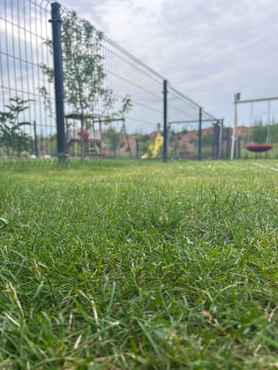 The media file displays a close-up, ground-level view of lush green grass, with a fence and background elements blurred. The perspective is low, emphasizing the texture and detail of the grass blades in the foreground. Beyond the grass, a chain-link fence runs diagonally across the frame, with a dark horizontal bar along its top. Reflected in the fence are trees, the sky, and some indistinct structures. In the background, through the fence, there are hints of trees, a red object (possibly a ball or disc), and what appears to be a metal structure with some red elements. The scene is outdoors, likely a park or recreational area, given the grass and fencing. The sky is overcast, suggesting a cloudy day, and the lighting is soft, indicating it could be morning or late afternoon. The overall mood is serene and natural. There is no visible text in the image. The location context is Haaslava, Estonia.