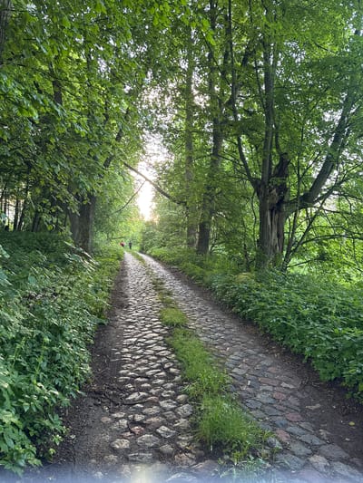 The image depicts a cobblestone path winding through a lush, tree-lined area. The path is bordered by dense green foliage on both sides. Sunlight filters through the leaves, creating dappled patterns on the ground. In the distance, two figures can be seen walking along the path, one wearing a red top and the other in darker attire. The scene appears to be a park or natural setting within the city of Lesistoe, Russia. The overall impression is one of a tranquil, natural environment within an urban context.
