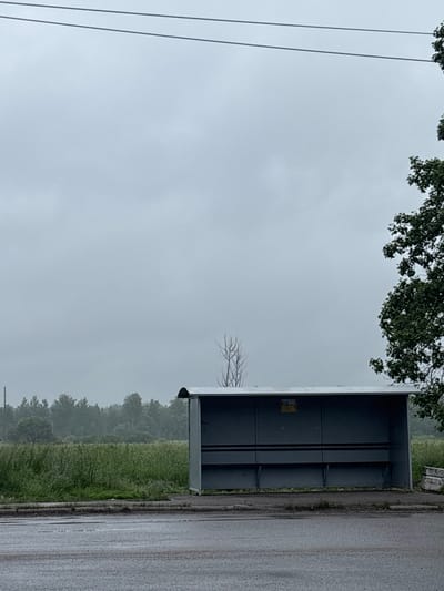 The image shows a gray, overcast day in Ushaiki, Russia. The foreground is a wet, asphalt road, possibly from recent rain. To the right, a bus stop shelter with a curved, silver roof and gray metal walls stands on a concrete pad. Inside the shelter, there are two long, dark benches. A yellow sign is affixed to the back wall of the shelter. Behind the bus stop is a patch of green grass and a field of tall, green grass or crops. Further in the background, a dense line of trees forms a dark green horizon. A bare, spindly tree with no leaves stands to the left of the bus shelter, in front of the treeline. On the far right side of the image, the dark green foliage of a large tree overhangs the scene. Power lines are visible against the gray sky in the upper portion of the image.