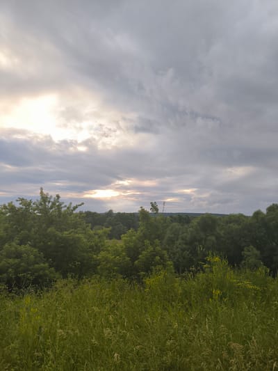 A picturesque landscape unfolds under a dramatic sky filled with heavy, gray clouds. Shafts of sunlight pierce through the clouds, illuminating parts of the scene and creating a sense of ethereal beauty. The foreground is dominated by tall, lush green grass, interspersed with some yellow wildflowers, creating a wild and untamed meadow. Beyond the meadow, a dense forest of green trees stretches across the horizon, their leaves appearing dark against the muted light. The overall scene suggests a natural, rural setting, possibly a field overlooking a wooded area. The time of day appears to be late afternoon or early evening, given the quality of light. The weather is overcast but with moments of sunshine breaking through, adding a dynamic element to the sky. There is no visible text in the image. The atmosphere is one of serene natural beauty, with a hint of dramatic weather.