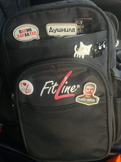 A black backpack is displayed in an indoor environment, possibly a car interior, with a dark background. The backpack is adorned with several pins and patches. One pin features text in Russian, reading "ПАПИН ХАРАКТЕР" which translates to "Dad's character." Another pin shows the Russian word "ДУШНИЛА," meaning "stuffy" or "annoying person." Adjacent to this is a small, dark object with colorful text that appears to be a magnet. Two cat-shaped pins are also attached; one is white and the other is black. A red and white logo with the text "Fit line" is prominently displayed on the backpack, along with a smaller circular pin with the "Fit line" logo and a heart. A pin featuring a portrait of Joseph Stalin is also present, with Russian text below that reads "ССЫЛКУ КИНУТЬ?", translating to "Throw a link?". The overall scene is a close-up shot focusing on the decorative elements of the backpack. There is no information in the image to suggest the location is Georgievka, Russia.