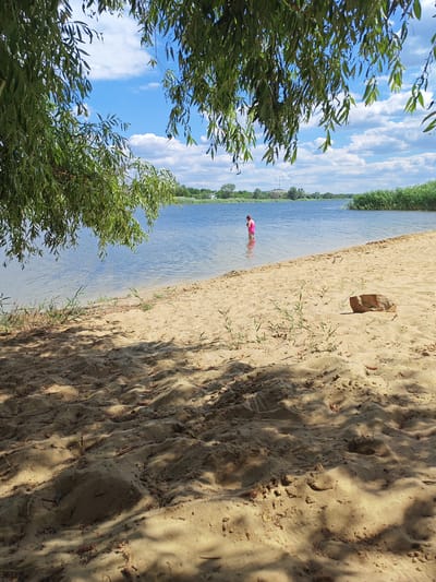 A person in a pink swimsuit stands in the shallow water of a lake, facing away from the camera. The person is positioned in the middle ground of the image. The foreground consists of a sandy beach with shadows cast by overhead foliage, suggesting it is a sunny day. Small green plants are growing in the sand, and a single rock is visible on the beach. In the background, the lake extends to the horizon, bordered by dense green reeds and trees. A few buildings and a distant tower are visible on the far bank. The sky is blue with scattered white clouds. The overall impression is of a peaceful summer day at a natural swimming spot.
