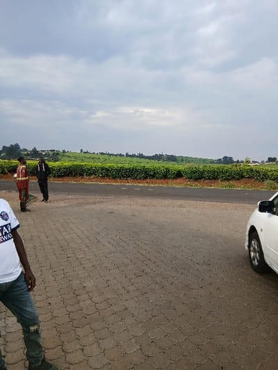 The image captures an outdoor scene in Limuru East ward, Kenya, under an overcast sky. The foreground features a light brown/grey paved surface with a scallop-patterned interlocking block design. On the far right, the front right section of a white sedan vehicle is visible, including the wheel and fender. On the far left, a person is partially visible, wearing a white short-sleeved t-shirt with partial text "PAR" and "RWA," distressed blue jeans, and dark shoes.
In the midground, three adult males stand on the paved surface adjacent to a dark asphalt road. The leftmost individual wears an orange-brown top, dark trousers, and dark boots, holding a long-handled tool with a broad, flat, red head. The central figure wears a dark hooded jacket and dark trousers, standing with hands clasped. A third individual is partially obscured behind the central figure, also in dark attire.
Beyond the road, extensive, undulating green fields, consistent with tea plantations, stretch across the background to the horizon. A distant line of dark green trees and faint structures are visible along the far horizon. The sky above is uniformly overcast with a light grey cloud cover.