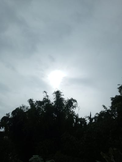 A gloomy, overcast sky dominates the view, with a bright, diffused sun barely visible through the clouds. Below, the silhouetted forms of trees and foliage create a dense, dark mass against the pale sky. The scene suggests a somber mood, perhaps before or after a storm. The landscape is undefined, adding to the overall sense of obscurity.