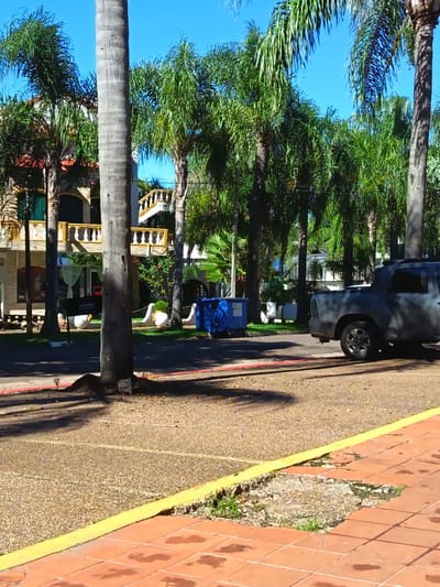 The image shows a street scene in Termas del Daymán, Uruguay, characterized by a mix of residential and natural elements. A multi-story building with balconies and yellow trim is visible behind several tall palm trees. A gray pickup truck is parked on the right side of the road. A blue trash bin and decorative white urns are positioned along the green lawn area between the building and the road. The road surface is a light-brown aggregate, lined with a red painted curb. The foreground features a sidewalk with reddish-brown tiles, partially damaged, and a yellow painted curb. The sky is clear and blue. Shadows from the trees are cast across the road and sidewalk.