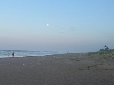 The image shows a wide, sandy beach with dark sand in Casitas, Mexico. The ocean is to the left, with moderate waves. A group of four people are standing near the water's edge, facing the ocean. In the sky, a full moon is visible, suggesting it is either early morning or evening. The beach is mostly barren, with some low-lying green vegetation growing in patches further up the sand. Palm trees and denser foliage are visible in the distance on the right side of the image. The sky is a clear, pale blue, transitioning to a lighter hue near the horizon.
