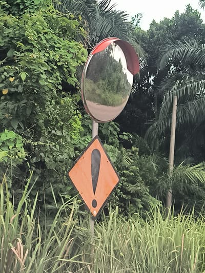 The image shows a convex mirror with a red trim mounted on a pole, reflecting lush green vegetation and palm trees. Below the mirror is an orange diamond-shaped sign with a black exclamation mark, indicating a warning. The sign is also mounted on the same pole. The foreground is filled with tall green grass and some dry blades. The background consists of dense foliage and palm trees, suggesting a tropical or subtropical environment. There are no people visible in the image. The scene is likely located near a road or intersection, as convex mirrors and warning signs are typically used for traffic safety. The information about the location in Teupinreusep, Indonesia, implies a specific context for this image, which is a rural or semi-rural area with abundant greenery.