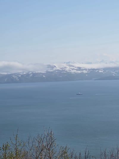 The image captures a panoramic view of a body of water with a snow-capped mountain range in the distance. In the foreground, bare tree branches with budding leaves are visible. The water is a deep blue, and a single ship is sailing in the middle ground, with two smaller boats trailing behind it. The sky is clear and a light blue. The scene is serene and expansive, suggesting a remote or natural setting, potentially in the vicinity of Крутобереговый, Russia, given the mountainous landscape.