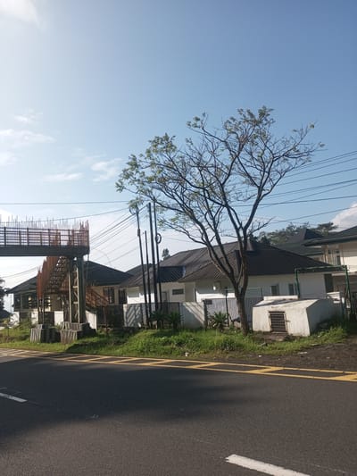 The image shows a street scene with houses and a pedestrian bridge in Phouviang-Gnai, Laos. The foreground features a paved road with yellow and white lane markings. To the side of the road, there are houses with dark-grey roofs and white walls. A tree with sparse foliage stands in front of one of the houses. An unfinished pedestrian bridge with metal framework and stairs is visible on the left side of the frame. Utility poles with wires stretch across the top of the scene. The sky is blue with scattered clouds. The overall impression is one of a quiet street in a residential area.