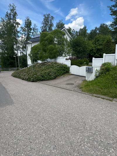 The image shows a residential street in Riihimäki, Finland, on a sunny day with scattered clouds. A white house with a dark roof and solar panels is visible behind a large, dense bush with pink flowers that curves along the driveway. A white wooden gate, partially open, leads to the property, flanked by a white picket fence. Two grey mailboxes are mounted on a post near the gate. The driveway appears to be paved, and there is a manhole cover on the ground. Lush green trees and grass surround the property and the house. The street in the foreground is asphalt.