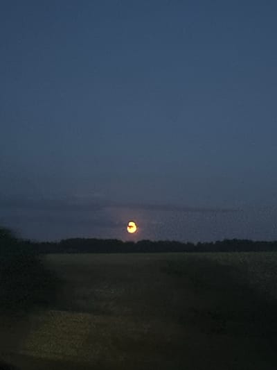A photograph captures a rural landscape under a dusky, dark blue sky. A sliver of a bright orange moon is visible near the horizon, partially obscured by clouds. Below the sky, a dark line of trees forms a dense forest against the horizon. In front of the forest, a field stretches out, appearing dark and shadowed. To the left, the edge of dense foliage is visible, also in shadow. The scene evokes a sense of twilight or early evening in a natural setting.