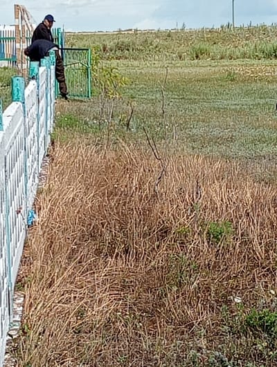 Two individuals are positioned at the top of a white fence, partially obscured by the fence's structure. One person, wearing a dark jacket and a blue baseball cap, is seated on the fence. The other individual, dressed in dark clothing, is leaning forward, appearing to interact with something beyond the fence. They are situated in an outdoor environment with dry grass and vegetation surrounding them. A metal gate is visible behind them. The scene suggests a rural or semi-rural setting, possibly on the outskirts of a settlement like Zhanyspay, Kazakhstan. The lighting indicates it is daytime, with a cloudy sky overhead.
