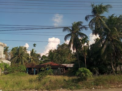 The image depicts a tropical scene with lush vegetation, including numerous palm trees, under a bright blue sky dotted with white clouds. In the foreground, tall, dry grass covers the ground, with a dirt road visible at the bottom. A dilapidated structure with a rusted corrugated metal roof and exposed blue support beams is situated amidst the greenery. To the left of this structure, a partially visible, unfinished concrete building stands. Overhead, a network of black power lines crisscrosses the frame, obscuring parts of the sky and trees. The overall impression is one of rural or semi-abandoned development in a warm, humid climate, likely in the city of Meuse, Indonesia, suggested by the prominent palm trees and tropical foliage. There are no people or animals visible in the image.