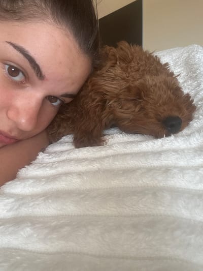 A close-up shot depicts a woman lying down, with a brown, poodle-like dog nestled beside her on a white, fuzzy blanket. The woman is partially visible, with her face towards the left side of the frame. She has brown eyes, dark eyebrows, and fair skin. The dog is positioned on the top left of the frame, resting partially on the blanket. A small portion of a black surface is visible in the background. The location is not explicitly identifiable as Rogozinovo, Bulgaria, based on the visual information provided.