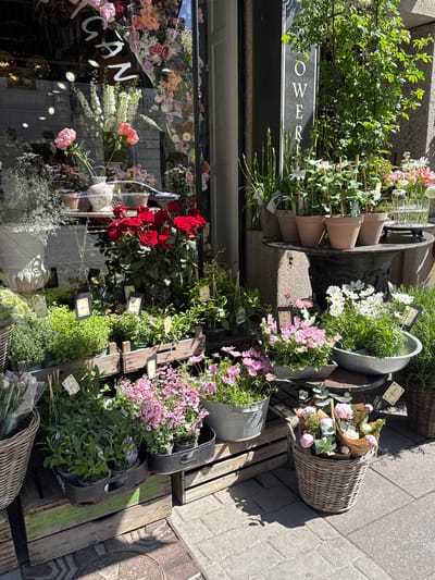 The image captures a flower shop exterior in Malmö, Sweden, showcasing a variety of floral arrangements and potted plants displayed on wooden pallets and stands. The shop's glass window is adorned with the word "GAN" and various floral displays. The sidewalk is visible and the scene is bathed in sunlight. Additional texts visible are "BOKAL", "BETALE" and "OWER!" A price tag reads "295:-".
