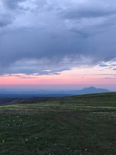 The image depicts a landscape scene at dusk or dawn. The foreground is dominated by a grassy field with scattered small yellow flowers. A faint, darker path or trail cuts through the grass, leading towards the center of the frame. The midground features rolling hills, also covered in vegetation, that gradually rise towards the horizon. In the distance, there are faint, silhouetted mountain peaks against a backdrop of a soft pink and blue sky. Darker, grey storm clouds fill the upper portion of the sky.

It is not possible to confirm that this image is in the city of Urozhaynyi, Russia.
