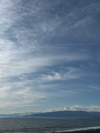 The image shows a landscape in Gulripshi, Abkhazia. A body of water, likely the Black Sea, occupies the right side of the image. The horizon line indicates mountains. The sky is blue with cirrus clouds.