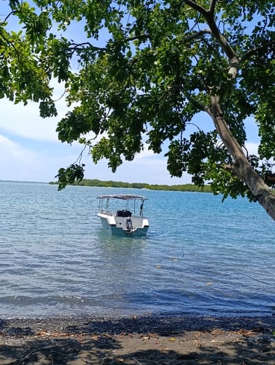 The image shows a white motorboat moored in the calm waters of a bay. The boat is anchored at the shoreline and is facing towards the viewer. The water is a light blue color and the shoreline is covered in black sand. A large tree with green leaves can be seen in the foreground, partially obscuring the view. There are no people visible in the image. The location is a bay near the coast of the city of Kecamatan Banyuputih, Indonesia, based on the provided coordinates. The sky is blue and mostly clear.