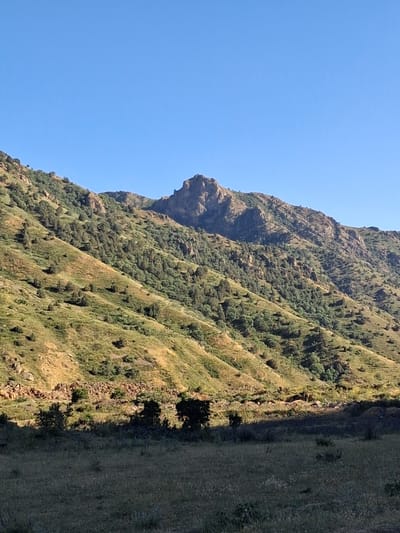 The image shows a rocky mountain slope covered in sparse vegetation, under a clear blue sky. The mountain has a distinctive rock formation that resembles a human face, with a prominent nose and chin. The lighting suggests it is daytime, likely midday due to the bright sun and stark shadows. The scene is a natural landscape, with no signs of human activity or artificial objects. The overall mood is one of natural grandeur and perhaps a touch of mystique due to the "face" formation. The location is identified as Shatin, Armenia.