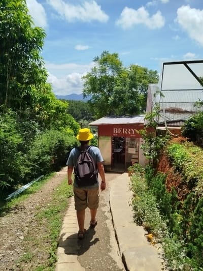 A person wearing a yellow bucket hat, a grey t-shirt, and khaki shorts walks away from the camera down a path in Trường An, Vietnam. The person has a black backpack on. The path is paved with concrete slabs and lined with greenery on both sides. To the right of the path is a building with a red facade that has "BERRY" written on it in white letters, along with "MEM 1940's" below it. The building appears to be a shop. In front of the shop, there are plants in pots. Further to the right, there is a sloped embankment covered in lush green vegetation and some brown soil. To the left of the path, there are dense trees and foliage. In the background, there are rolling hills covered in trees under a blue sky with scattered white clouds. The lighting suggests it is daytime.
