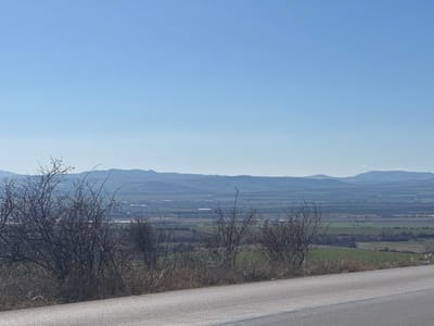 The image provides an elevated panoramic view of a rural landscape within the city of Bogyovtsi, Bulgaria. The immediate foreground captures a section of paved asphalt road, with a verge of dry, brown vegetation and several leafless deciduous shrubs to its left. Beyond this, the midground extends into a broad agricultural plain, segmented by green and brown cultivated fields. Distant structures, possibly rural buildings or parts of smaller settlements, are vaguely visible within the landscape. The horizon is defined by a chain of hazy, undulating mountains under a clear, bright blue sky. No human activity or animate subjects are present in the scene.