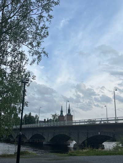 The image captures a view of the bridge and river in Vammala, Finland. A large, multi-arched stone bridge spans a dark, flowing river in the mid-ground. The bridge has a white railing along its top, and streetlights are visible along its length. On the far side of the river, behind the bridge, are trees and two prominent church spires, suggesting a historic or religious center. The sky is cloudy with patches of lighter blue and darker gray clouds. In the foreground, to the left, a large tree with green leaves partially obscures the view. A dark lamppost with two lights stands in the far left foreground. The overall scene suggests an overcast day in a European city with a body of water and significant architecture.