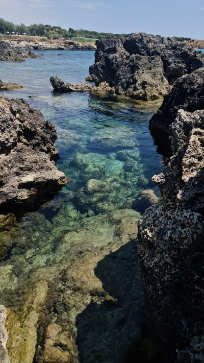The image depicts a rocky coastline with clear turquoise water. The foreground is dominated by dark, textured rocks that form a natural cove. The water is shallow and transparent, revealing a rocky seabed with patches of algae and small fish. In the background, the water transitions to a deeper blue, and a line of green vegetation borders the coastline, with some structures and trees visible further inland. The sky is clear and blue. The location is identified as Leporano, Italy.