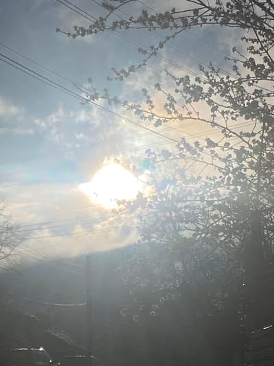 The image depicts an outdoor scene in Vlado Trichkov, Bulgaria, characterized by strong backlighting from a low sun. The upper portion of the frame shows a partially cloudy sky with patches of blue. A highly overexposed, bright sun is positioned in the upper-middle left, generating significant lens flare and atmospheric haze that obscures details, particularly in the lower-right quadrant. Multiple parallel utility wires traverse horizontally across the sky. In the right half of the image, the silhouetted branches of a deciduous tree, likely in early bloom with numerous small, light-colored buds or flowers, are prominent. Denser, darker foliage, consistent with trees and bushes, occupies the lower and central foreground. A dark, vertical utility pole is faintly visible in the lower-middle portion of the image, partially obscured by the haze and vegetation. Indistinct, dark shapes consistent with the roofs of parked vehicles are visible in the lower-left corner. No human figures or discernible actions are present.