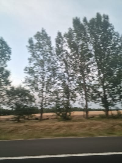 The image shows a blurred view of trees and a field, possibly taken from a moving vehicle. The sky is overcast. The trees are tall and slender, with dense foliage. A strip of dark pavement, likely a road, runs along the bottom of the image. The overall scene depicts a rural or semi-rural landscape. The location is identified as Lengyeltóti, Hungary.