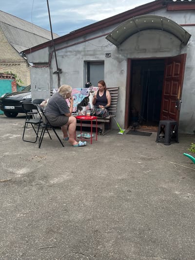 In Nemishaieve, Ukraine, an overcast day features an outdoor scene in front of a weathered concrete building with a wooden door and an arched awning adorned with string lights. Two women are seated outside, one in a gray t-shirt and shorts, the other in a black tank top. A cat sits on the lap of the woman in the black tank top, and another cat is visible on a chair nearby. A small red table with a drink on it separates them. To the right, a black stool and a mop with a green head rest on the pavement. A black car with a Ukrainian license plate is parked to the left of the building. The ground is paved with asphalt, and there is some debris scattered about.