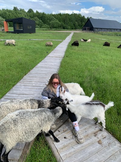 In the open green fields of Далёкаўскі сельскі Савет, Belarus, a young woman wearing sunglasses, a grey vest, and patterned socks is seated on a wooden boardwalk. She is surrounded by several sheep and goats. The sheep, with their thick, curly wool in shades of grey and white, are gathered around her, some nudging her. A few goats, a white one and a black and white one, are also interacting with her. In the background, a modern black building with large windows and an orange accent is visible amidst lush green trees. Further in the distance, a larger dark-colored barn-like structure stands under a cloudy sky. The boardwalk meanders through the grassy landscape, dotted with more sheep grazing in the distance.