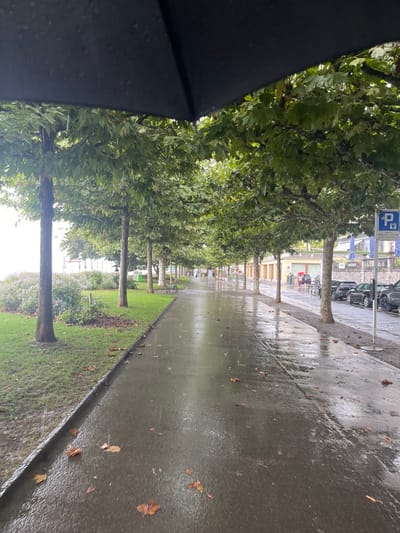 A forensic examination of the image reveals a rainy daytime scene on the Quai Perdonnet, a lakeside promenade in Vevey, Switzerland, bordering Lake Geneva to the left. The perspective is from directly beneath a black umbrella, with water droplets visible on its underside.

The scene depicts a long, straight, wet asphalt walking path extending into the distance, reflecting the overcast sky and ambient light. Numerous wet, brown autumn leaves are scattered across this path. To the left of the path, a manicured grassy strip is visible, lined with mature, uniformly spaced trees, likely plane trees, with dark, wet trunks and dense green foliage. Beyond this treeline, the expansive, light-colored surface of Lake Geneva is partially visible, obscured by the weather conditions and distant foliage. A dark bench and some low-lying bushes are present in the grassy area.

To the right of the walking path, another line of identical trees is planted on a gravel shoulder. Beyond these trees lies a street, approximately 5-6 dark-colored vehicles (SUVs and cars) are parked in a row. Further right, multi-story buildings with balconies and traditional architecture are visible, some featuring red awnings. A blue parking sign with a white 'P' symbol is prominently displayed on the right side. Several bicycles are parked near a tree on the right.

Approximately half a dozen indistinct human figures are observed walking along the wet path in the mid-ground and background, moving away from the viewer. Some appear to be holding umbrellas, indicating active rainfall. The overall environment is thoroughly saturated by rain.