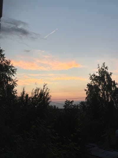 The image shows a dusky sky with scattered clouds tinged with orange and pink hues. In the distance, a faint contrail from an aircraft is visible. The foreground is dominated by the dark silhouettes of trees and foliage. A power line runs horizontally across the middle ground. The bottom right corner of the image shows a glimpse of a corrugated metal roof. The scene depicts an outdoor environment, likely a suburban or rural area, at dusk. No people are present in the image. The location is stated to be Leninsk-Kuznetskiy, Russia.