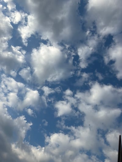 A low-angle, full shot captures a dramatic sky filled with dynamic, fluffy clouds of varying shades of white and grey against a bright blue backdrop. The lighting suggests a bright, possibly sunny day with the sun intermittently peeking through the cloud cover, creating highlights and shadows. The clouds appear to be in motion, with some edges blurred and others sharply defined, indicating wind. The image is focused on the sky, with no discernible city elements, landmarks, or people visible from this perspective in Chattanooga, United States of America. The composition is abstract and atmospheric, focusing solely on the natural phenomenon of clouds.