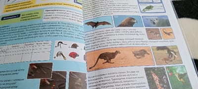 The image depicts a page from a textbook with information about animals. It shows various animals, including a bat, a golden eagle, a chameleon, a scorpion, a cheetah, a warthog, an eagle, and a hummingbird. There are also illustrations of animal beaks and feet, as well as a table with information about different types of beaks. The page is written in Azerbaijani, but the images are universal. The location is the city of Ganja, Azerbaijan, based on the provided coordinates (latitude: 40.699, longitude: 46.365).