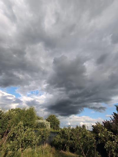 A low-angle, full outdoor shot captures a dramatic sky filled with dark, heavy storm clouds. Patches of bright blue sky are visible through breaks in the clouds, particularly towards the left and right edges of the frame. Below the sky, a dense, verdant landscape of trees and foliage occupies the lower half of the image. The trees are lush and green, with some appearing to be fruit trees due to their branches and leaf density. In the foreground, tall grass and wildflowers are abundant. A dark fence, possibly for privacy or to support the vegetation, is partially visible behind the trees. The scene appears to be set in a rural or garden environment, likely on the outskirts of Perliavka, Ukraine, given the dense vegetation and the characteristic cloudy sky often seen in the region. No people or animals are present in the image.