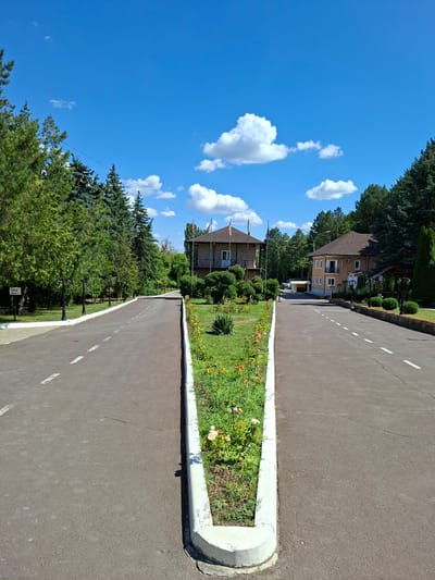 The image depicts a bifurcating asphalt road with white dashed lines marking lanes, leading towards two buildings in what appears to be a park or an estate, possibly in Milestii Mici, Moldova. The road is flanked by manicured green grass and flower beds. Tall evergreen trees and deciduous trees line the sides of the road and the background. The sky is a vibrant blue with scattered white, fluffy clouds.

The building on the left is a two-story structure with a darker facade, flags on poles, and several windows. The building on the right is a lighter-colored, two-story building with a balcony and arched windows. Both buildings are surrounded by greenery and have light fixtures. In the foreground, a raised concrete median with flowers divides the road. The scene is well-lit, suggesting daytime. There are no people visible in the image, and no actions or interactions are depicted. The environment is clean and well-maintained.