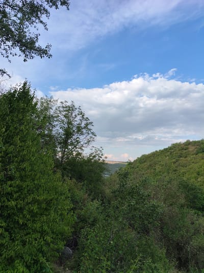 The image captures a serene natural landscape with a focus on lush green vegetation and a dynamic sky. In the foreground, dense trees with vibrant green foliage dominate the scene, creating a sense of depth and enclosure. The branches of a tree with smaller leaves are visible in the upper left corner, reaching into the bright blue sky.
The middle ground reveals a continuation of the verdant landscape, with a variety of trees and shrubs forming a thick canopy. One tree in the center has a more open structure with delicate branches. Beyond the immediate vegetation, a gently sloping hillside covered in dense greenery stretches into the distance.
The sky above is a striking blend of blue and white. Patches of bright blue sky are interspersed with fluffy white clouds, some of which are wispy and elongated, while others are more cumulus-like. These clouds suggest a pleasant, partly cloudy day. In the far distance, a subtle hint of a valley or plains can be perceived, with a light haze suggesting atmospheric perspective.
The overall impression is one of natural beauty and tranquility, with the vibrant greenery providing a strong contrast to the expansive sky. The image appears to be taken from an elevated position, looking out over the natural terrain. While no specific landmarks of Saharna, Moldova, are explicitly identifiable, the scene is consistent with the natural beauty often found in such regions, characterized by hills, forests, and open skies.