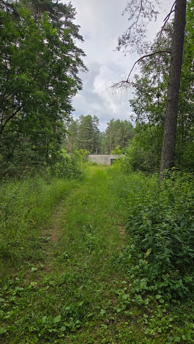 An unpaved road with tall grass and weeds on either side leads towards a low, rectangular building constructed of white brick. The building has a flat roof with several vents or chimneys. Graffiti is visible on the side of the building. The building is surrounded by dense green foliage and tall trees, primarily pine trees. The sky is overcast with grey clouds. The scene appears to be in a rural or wooded area, possibly the outskirts of Cekule, Latvia. There are no people or animals visible.