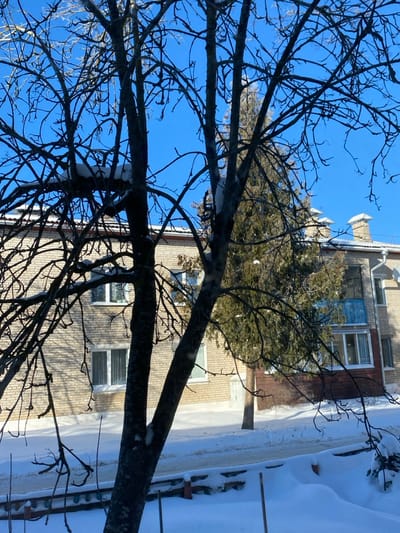 A winter scene in Карабоўскі сельскі Савет, Belarus, is depicted under a clear blue sky with bright sunlight. The foreground is dominated by the silhouetted, bare branches of a deciduous tree, partially laden with snow and some visible ice. Its main trunk splits into two prominent sections. Below the tree, the ground is covered in undisturbed snow, sloping slightly downwards towards a low, snow-covered fence or barrier at the very bottom edge of the frame.
In the midground, a snow-covered paved surface, likely a road or path, stretches horizontally across the image. Beyond this, a two-story residential building constructed of light-colored brick (beige or pale yellow) is visible. The building features several rectangular windows with white frames. Its roof is covered in a layer of snow, and two brick chimneys are prominent on the right side of the roofline. On the upper floor, right side of the building, a balcony with a blue-painted railing is visible.
A tall, slender evergreen tree, possibly a conifer, stands between the foreground bare tree and the brick building, slightly off-center to the right. No individuals or active subjects are present within the frame. The overall environment suggests a cold, clear winter day.