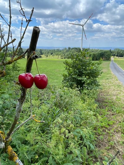 The image shows a pair of ripe, red cherries hanging from a tree branch, silhouetted against a pastoral landscape under a cloudy sky. The cherries are the central focus, plump and glistening, with their thin green stems extending upwards. The branch they hang from is rough and textured, showing signs of age with patches of lichen. Behind the branch, a wider scene unfolds: a green field stretches towards a distant tree line, a winding paved path cuts through the grass, and a white wind turbine with red-tipped blades stands tall against the sky. The clouds are a mix of white and grey, suggesting a dynamic weather pattern, possibly late morning or early afternoon. The overall impression is one of rural tranquility and natural abundance. The location is Schwarzenborn, Germany.