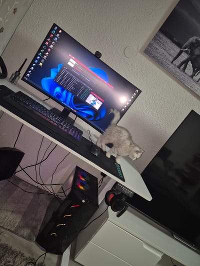 The image shows a domestic scene, likely a home office or gaming setup, on a white desk. A light gray kitten with dark stripes is on the desk, walking towards the edge. In front of the kitten is a black keyboard with RGB lighting and a black mousepad with green text. Behind the keyboard is a large computer monitor displaying a Windows 11 desktop with various icons and an open application window. To the left of the monitor is a black webcam. Below the desk, a black computer tower with RGB lighting is visible, along with tangled black cables and a gray rug. To the right of the monitor, a black flat-screen TV or monitor is partially visible. Above the desk, a black and white framed picture of elephants is mounted on a textured white wall. There are no people present in the image. The scene appears to be indoors. The location is identified as Bruchsal, Germany.