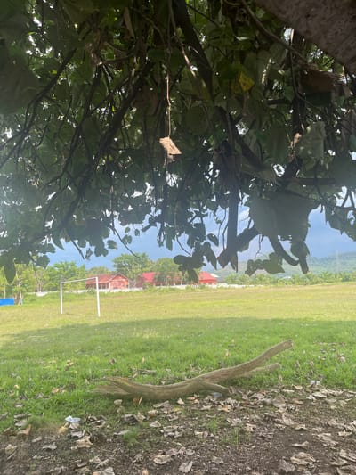 An outdoor scene captured at Keudetambue, Indonesia, features a grassy field with a goalpost on the left side, likely a soccer field. In the background, several red-roofed buildings are visible amongst lush green trees. The sky above is overcast with a few patches of blue. In the foreground, a fallen tree branch lies on the ground, surrounded by dry leaves and some scattered litter. The image is taken from under the canopy of a large tree, with its branches and leaves dominating the upper portion of the frame, creating a dappled light effect on the scene.