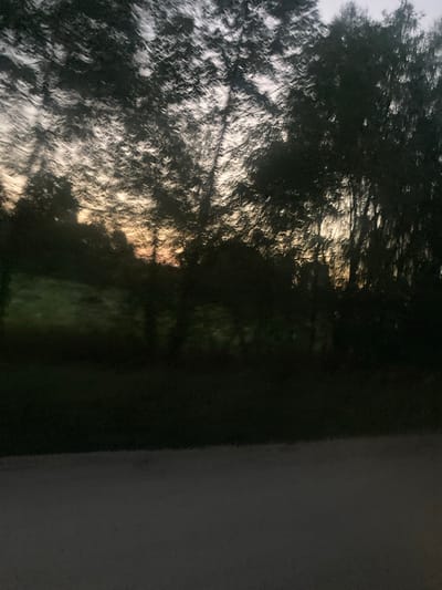 The image depicts a blurred, impressionistic view of trees silhouetted against a twilight sky. The lower portion of the image shows a dark, undefined foreground, likely a road or path. The trees themselves are heavily abstracted by motion blur, creating streaks of light and shadow that suggest foliage and branches. Through the gaps in the trees, a soft, warm light from the setting sun or rising moon is visible, casting an orange and yellow hue on the sky. A darker, indistinct field or grassy area is visible behind the trees in the middle ground. The overall impression is one of movement and atmosphere, captured during a transitional time of day. The location, Кіселявецкі сельскі Савет, Belarus, suggests a rural or semi-rural setting, consistent with the presence of trees and open land.