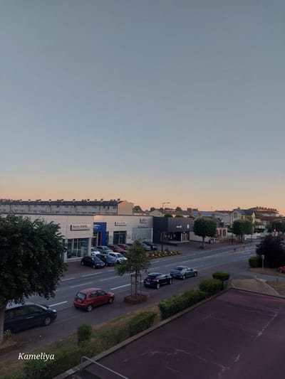 The image is a high-angle shot of a street scene in Alençon, France, likely captured during the late afternoon or early evening, given the soft, warm light on the horizon. The sky is a gradient of pale blue and soft orange.
In the foreground, a dark reddish-purple paved surface with some white markings takes up the bottom right portion of the frame. To the left of this surface, a green grassy area with scattered bushes leads to a road.
The road runs diagonally across the middle of the image. Several cars are visible on the road and parked in front of businesses. On the left side of the road, a dark blue sedan is driving away from the camera. Further down the road, a red hatchback is also driving away. Across the road, a dark sedan and a silver sedan are parked. Beyond them, there's a row of parked cars, including a dark blue hatchback, a white sedan, and a dark blue sedan.
On the left side of the road, there is a row of buildings. One building prominently displays "Auto 3000" and a "Ford" logo, suggesting a car dealership. Adjacent to it, another building is visible with "Auto 3000" signage and a dark facade. Further down the street, other businesses with signs like "Allianz" are visible, along with trees and residential buildings in the background. A large tree with dark green foliage is present on the far left of the image.
The overall environment appears to be a commercial area with residential buildings in the background, situated in a town or city. The presence of streetlights and the layout of the buildings indicate an urban or suburban setting. The watermark "Kameliya" is visible in the bottom left corner.