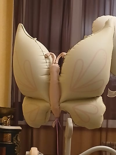 This is a close-up, eye-level, medium shot of a large, pale yellow, butterfly-shaped balloon. The balloon has light pink decorative markings on its wings, resembling petal shapes. The balloon is inflated and stands upright, with its body section being a pale pink, segmented tube with two small antennae. A thin, pink string is tied to the bottom of the balloon's body and dangles down. The background consists of vertical brown curtains. To the left of the balloon, a portion of a yellow wall is visible. Below and to the left of the balloon, a dark-colored piece of furniture with ornate gold detailing is partially visible. A white, curved railing or support is also present in the lower right quadrant of the image. The scene appears to be indoors, likely a domestic setting. The image does not depict any people. No information can be inferred about the city of Olginskaya, Russia from this image.